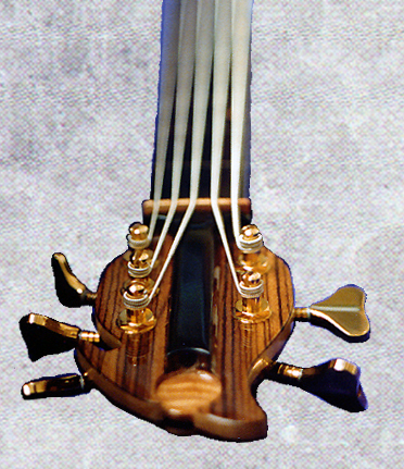 zebra headstock