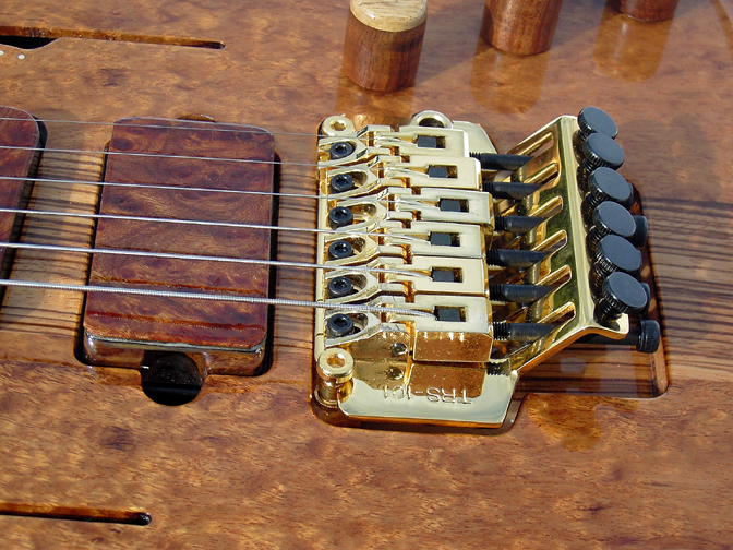 Tremolo Guitar